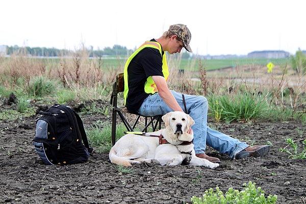 A picture of a person sitting on a chair in a field with a dog.