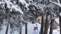 Student walking through snowy trees